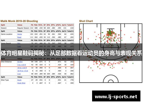 体育明星鞋码揭秘：从足部数据看运动员的身高与表现关系